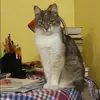 Отзыв от Инна Евдокимова
